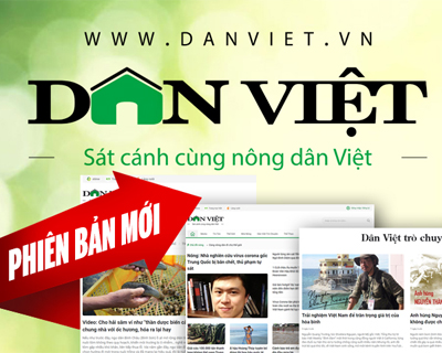 <p>Báo Dân Việt</p>